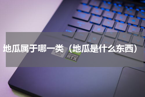 地瓜属于哪一类（地瓜是什么东西）
