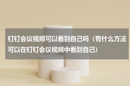 钉钉会议视频可以看到自己吗（有什么方法可以在钉钉会议视频中看到自己）