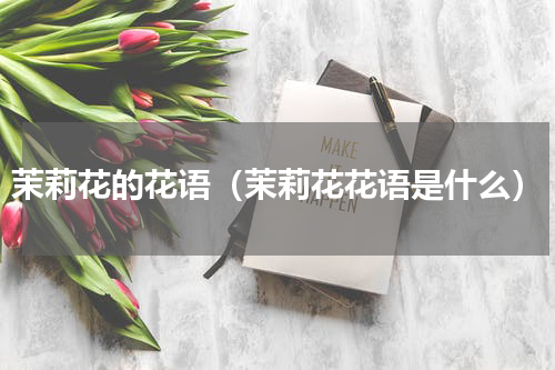 茉莉花的花语（茉莉花花语是什么）