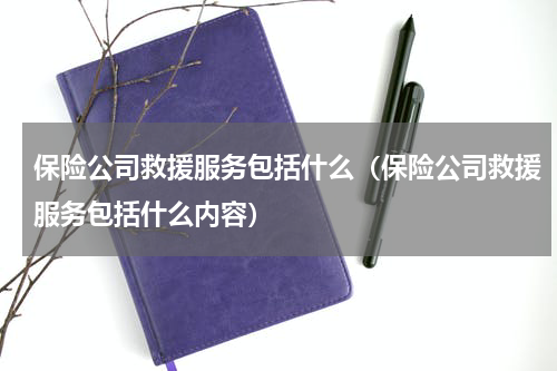 保险公司救援服务包括什么（保险公司救援服务包括什么内容）
