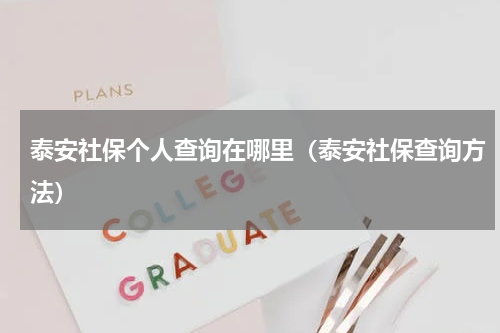 泰安社保个人查询在哪里（泰安社保查询方法）