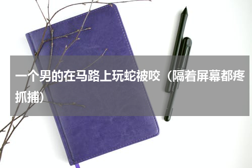 一个男的在马路上玩蛇被咬（隔着屏幕都疼抓捕）