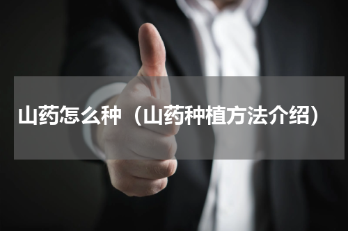 山药怎么种（山药种植方法介绍）