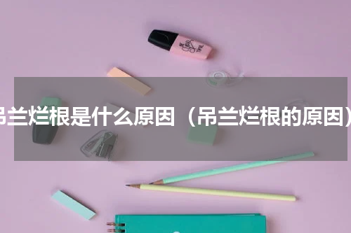 吊兰烂根是什么原因（吊兰烂根的原因）