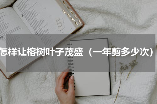 怎样让榕树叶子茂盛（一年剪多少次）
