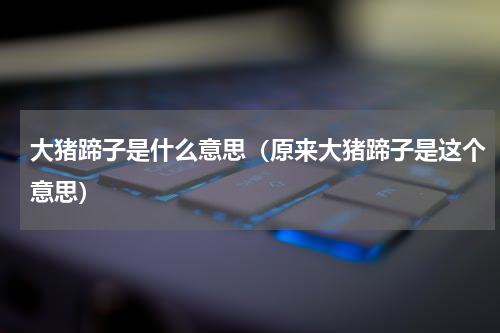 大猪蹄子是什么意思（原来大猪蹄子是这个意思）
