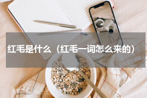 红毛是什么（红毛一词怎么来的）