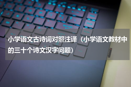 小学语文古诗词对照注译（小学语文教材中的三十个诗文汉字问题）