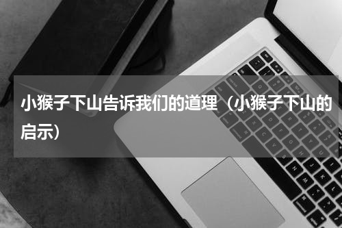 小猴子下山告诉我们的道理（小猴子下山的启示）