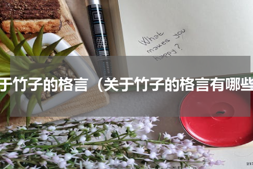 关于竹子的格言（关于竹子的格言有哪些）