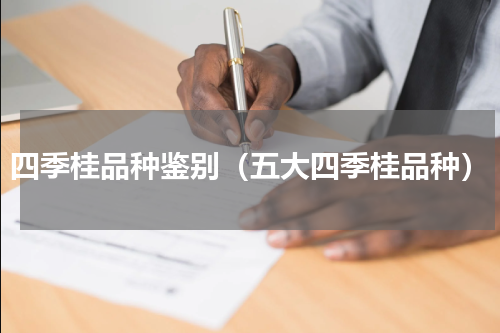 四季桂品种鉴别（五大四季桂品种）