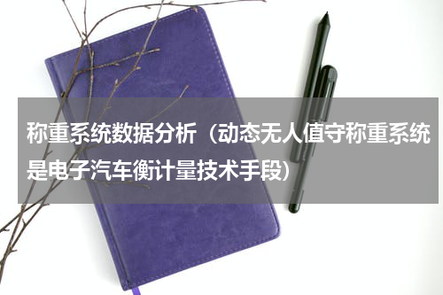 称重系统数据分析（动态无人值守称重系统是电子汽车衡计量技术手段）