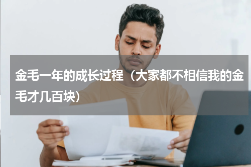 金毛一年的成长过程（大家都不相信我的金毛才几百块）