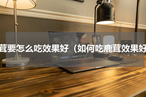 鹿茸要怎么吃效果好（如何吃鹿茸效果好）