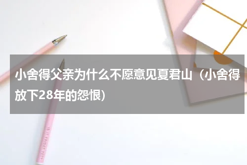 小舍得父亲为什么不愿意见夏君山（小舍得放下28年的怨恨）