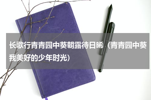 长歌行青青园中葵朝露待日晞（青青园中葵我美好的少年时光）