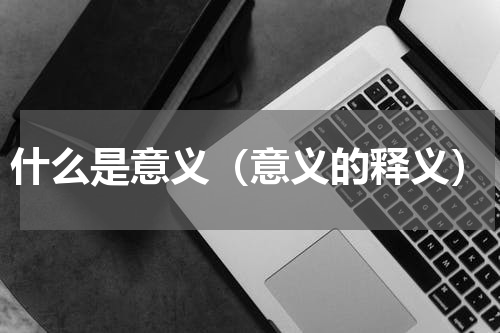 什么是意义（意义的释义）