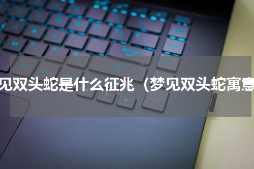 梦见双头蛇是什么征兆（梦见双头蛇寓意）