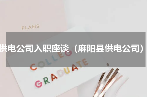 供电公司入职座谈（麻阳县供电公司）