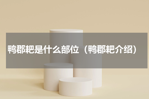 鸭郡耙是什么部位（鸭郡耙介绍）