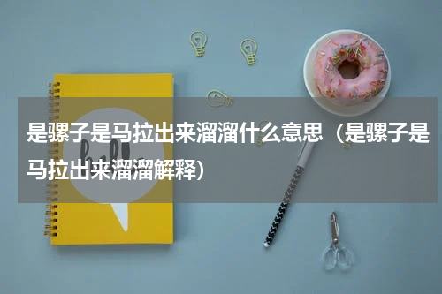 是骡子是马拉出来溜溜什么意思（是骡子是马拉出来溜溜解释）
