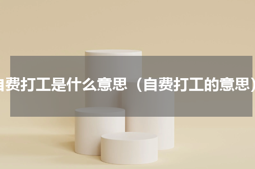 自费打工是什么意思（自费打工的意思）