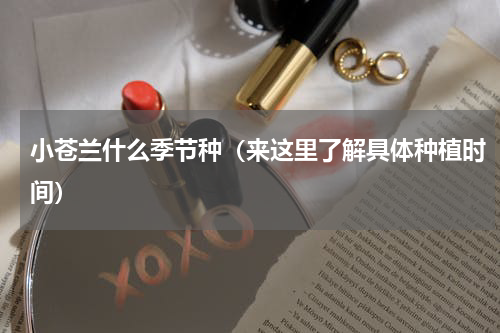 小苍兰什么季节种（来这里了解具体种植时间）