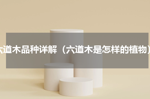 六道木品种详解（六道木是怎样的植物）