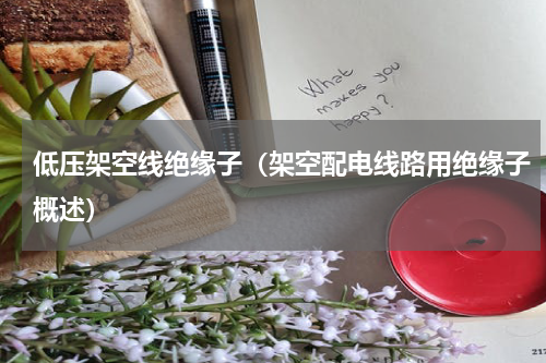 低压架空线绝缘子（架空配电线路用绝缘子概述）