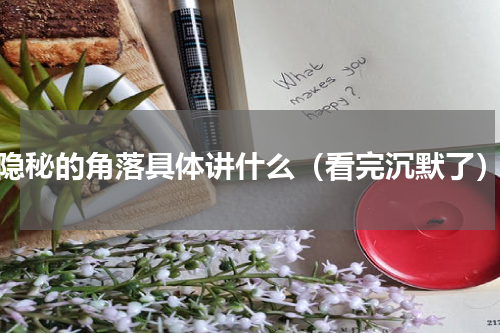 隐秘的角落具体讲什么（看完沉默了）