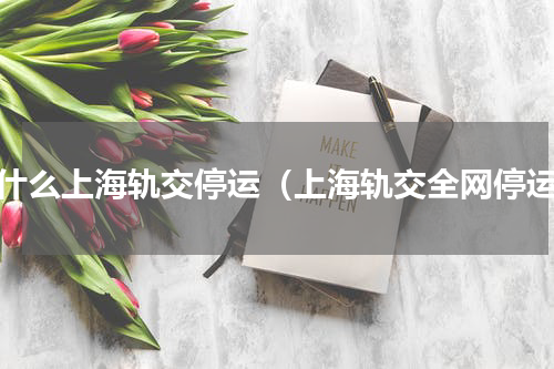 为什么上海轨交停运（上海轨交全网停运）