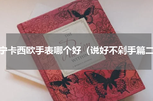苏宁卡西欧手表哪个好（说好不剁手篇二）
