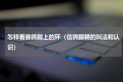 怎样看赛鸽脚上的环（信鸽眼睛的叫法和认识）