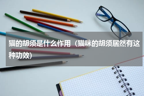 猫的胡须是什么作用（猫咪的胡须居然有这种功效）