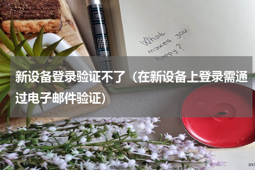 新设备登录验证不了（在新设备上登录需通过电子邮件验证）