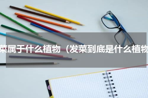 发菜属于什么植物（发菜到底是什么植物）