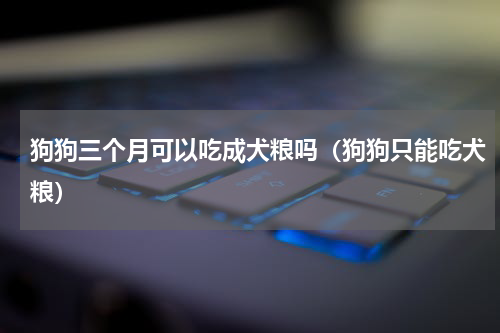 狗狗三个月可以吃成犬粮吗（狗狗只能吃犬粮）