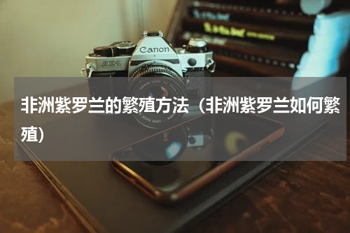 非洲紫罗兰的繁殖方法（非洲紫罗兰如何繁殖）