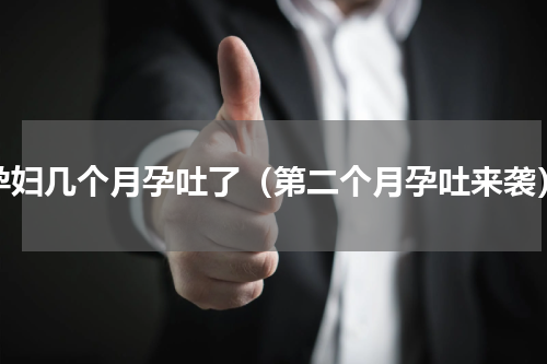 孕妇几个月孕吐了（第二个月孕吐来袭）