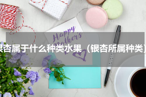 银杏属于什么种类水果（银杏所属种类）