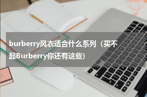 burberry风衣适合什么系列（买不起Burberry你还有这些）