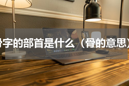 骨字的部首是什么（骨的意思）