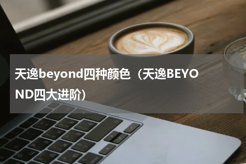 天逸beyond四种颜色（天逸BEYOND四大进阶）
