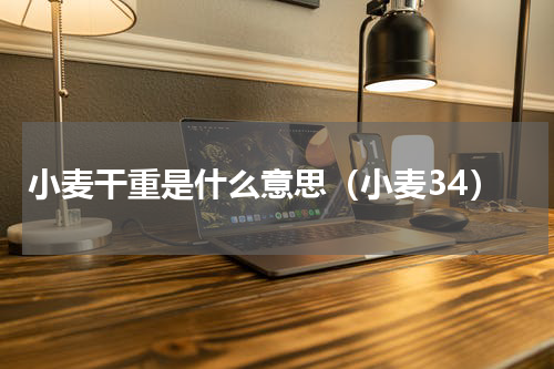 小麦干重是什么意思（小麦34）