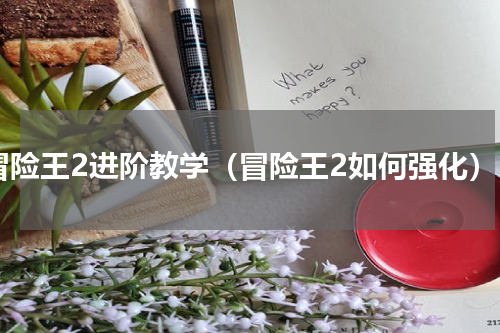 冒险王2进阶教学（冒险王2如何强化）