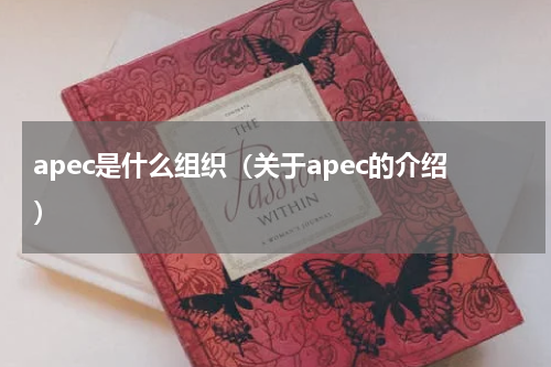 apec是什么组织（关于apec的介绍）