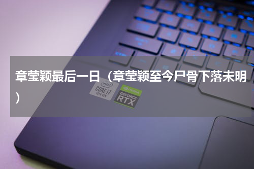 章莹颖最后一日（章莹颖至今尸骨下落未明）