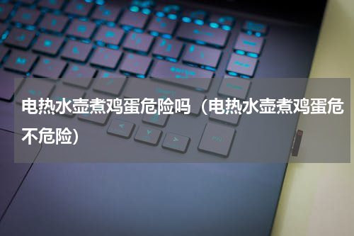 电热水壶煮鸡蛋危险吗（电热水壶煮鸡蛋危不危险）