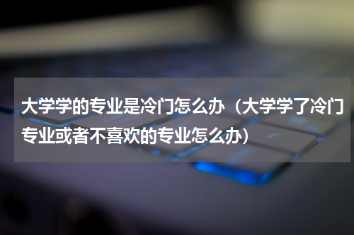 大学学的专业是冷门怎么办（大学学了冷门专业或者不喜欢的专业怎么办）
