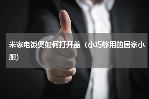 米家电饭煲如何打开盖（小巧够用的居家小厨）
